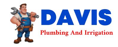 Trusted plumber in FOWLER